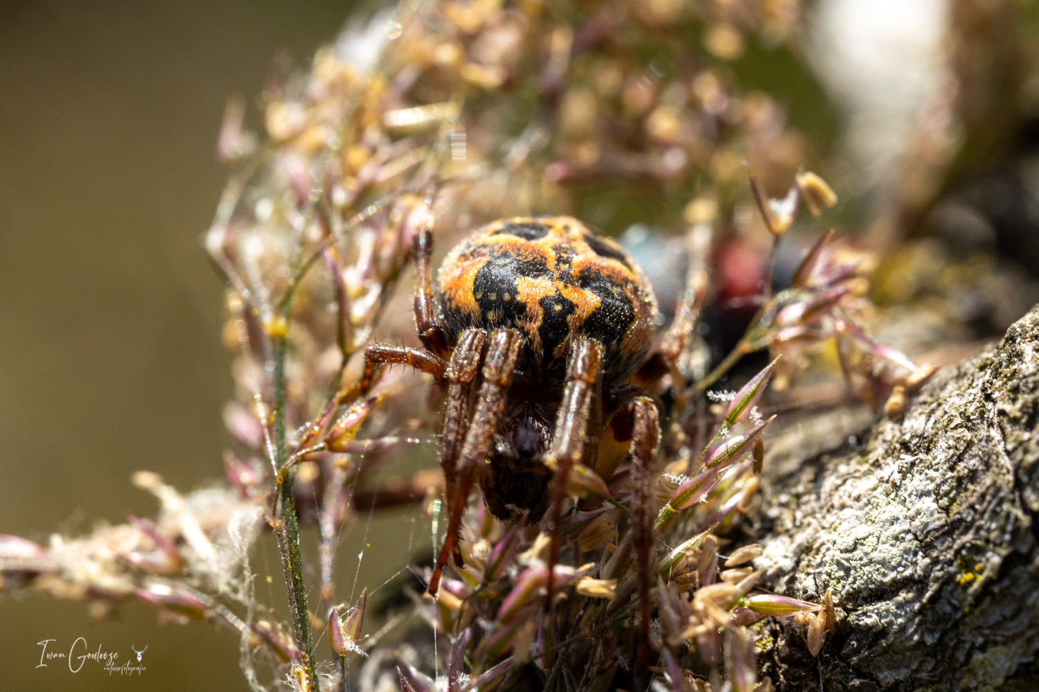  R2A2183 23 juni 2023 1637 31